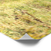 Mount Mansfield, Vermont Poster (Hoek)