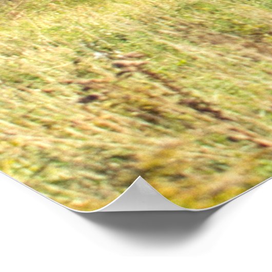 Mount Mansfield, Vermont Poster (Hoek)