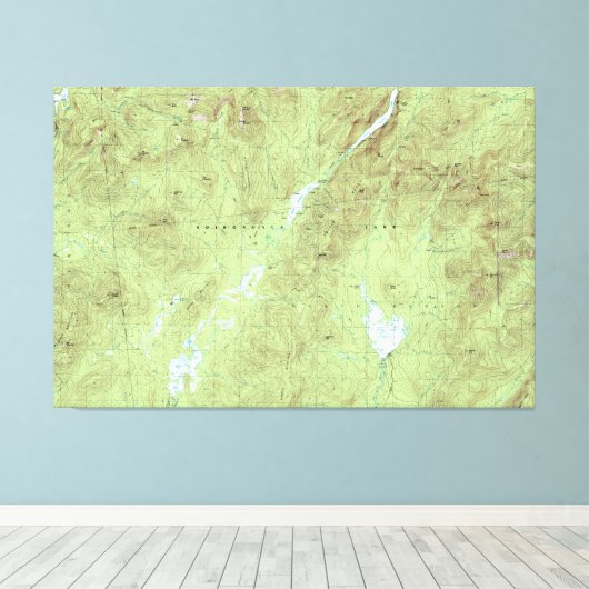 Mount Marcy Topographic Map - Adirondack Park Canvas Afdruk (Insitu (Houten vloer))