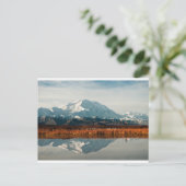 Mount McKinley in Denali NP, Alaska Briefkaart (Staand voorkant)
