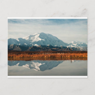 Mount McKinley in Denali NP, Alaska Briefkaart