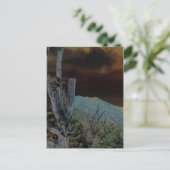 Mount Mitchell, North Carolina Briefkaart (Staand voorkant)