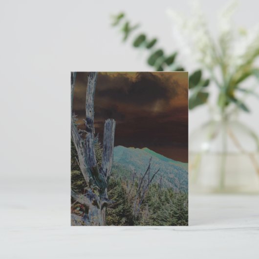 Mount Mitchell, North Carolina Briefkaart (Staand voorkant)