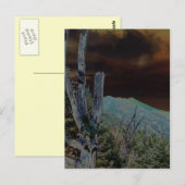 Mount Mitchell, North Carolina Briefkaart (Voorkant / Achterkant)