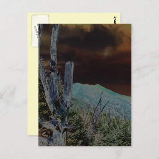 Mount Mitchell, North Carolina Briefkaart (Voorkant / Achterkant)