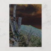 Mount Mitchell, North Carolina Briefkaart (Voorkant)