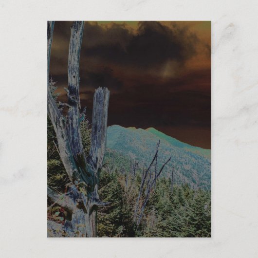 Mount Mitchell, North Carolina Briefkaart (Voorkant)