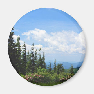 Mount Mitchell State Park Magneet