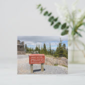 Mount Mitchell Summit Noord Carolina Foto Briefkaart (Staand voorkant)