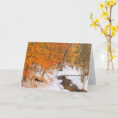 Mount Monadnock Forest Stream en Sneeuwgebladerte Kaart (Gele Bloem)