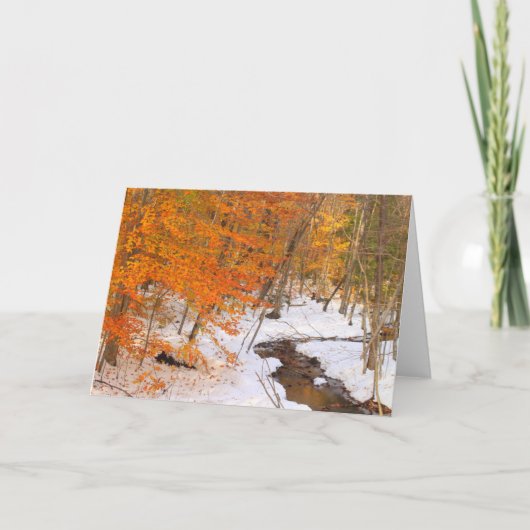 Mount Monadnock Forest Stream en Sneeuwgebladerte Kaart (Voorkant)