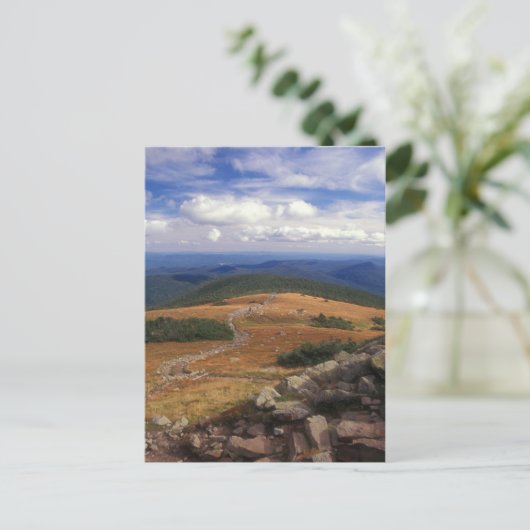 Mount Moosilauke Summit Trail Briefkaart (Staand voorkant)