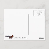 Mount Moran en Clouds in Grand Teton Briefkaart (Achterkant)