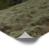 Mount Moran en Clouds in Grand Teton Poster (Hoek)