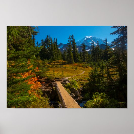 Mount Rainer, herfst Spray Park Poster (Voorkant)