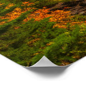 Mount Rainer, herfst Spray Park Poster (Hoek)