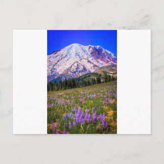 Mount Rainier Briefkaart
