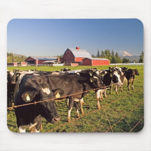 Mount Rainier Cattle Mousepad Muismat (Voorkant)