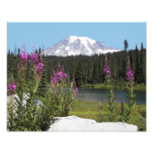 Mount Rainier en Wildflower Schilderachtig Landsch Foto Afdruk (Voorkant)