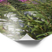 Mount Rainier en Wildflower Schilderachtig Landsch Foto Afdruk (Hoek)