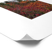 Mount Rainier Herfstkleuren Fotografische Poster (Hoek)