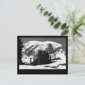 Mount Rainier in juni Briefkaart (Staand voorkant)