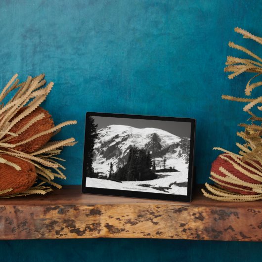 Mount Rainier in juni Fotoplaat (Zijkant)