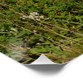 Mount Rainier Lake Reflectie met Wildflower Perfect Poster (Hoek)