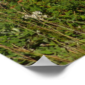 Mount Rainier Lake Reflectie met Wildflower Poster (Hoek)