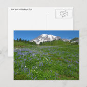 Mount Rainier met paarse lupine Briefkaart (Voorkant / Achterkant)