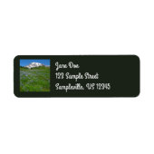 Mount Rainier met paarse lupine Etiket (Voorkant)