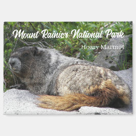Mount Rainier Nationaal Park Hoary Marmot Magneet