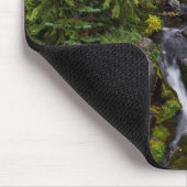 Mount Rainier National Park, herfststroom Muismat (Hoek)