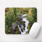 Mount Rainier National Park, herfststroom Muismat (Met muis)