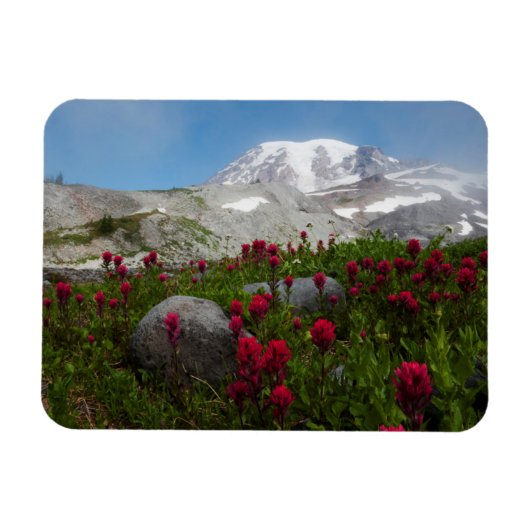 Mount Rainier National Park, Mount Rainier 1 Magneet (Horizontaal)