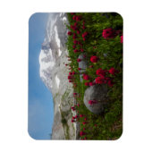 Mount Rainier National Park, Mount Rainier 1 Magneet (Verticaal)
