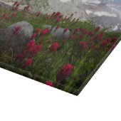 Mount Rainier National Park, Mount Rainier 1 Snijplank (Hoek)