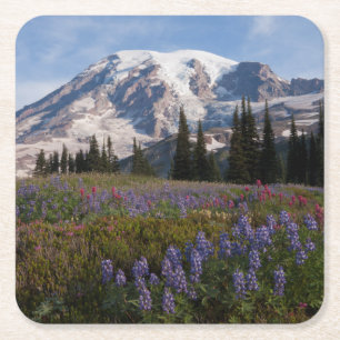 Mount Rainier National Park, Mount Rainier 3 Kartonnen Onderzetters
