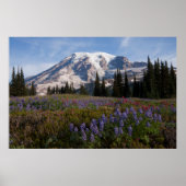Mount Rainier National Park, Mount Rainier 3 Poster (Voorkant)