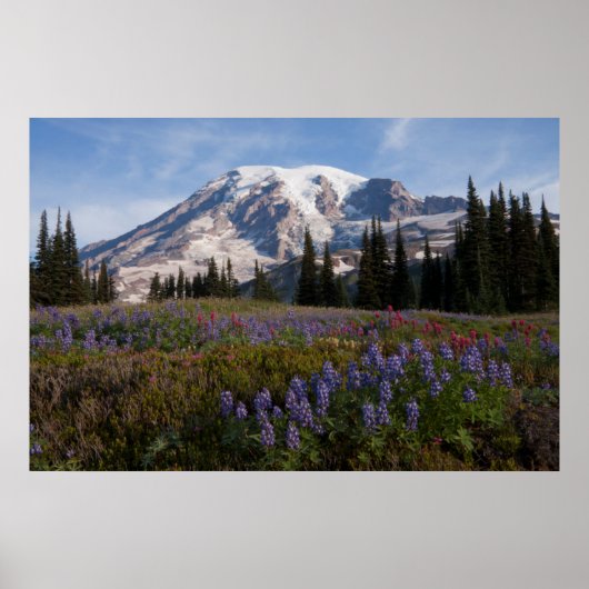 Mount Rainier National Park, Mount Rainier 3 Poster (Voorkant)
