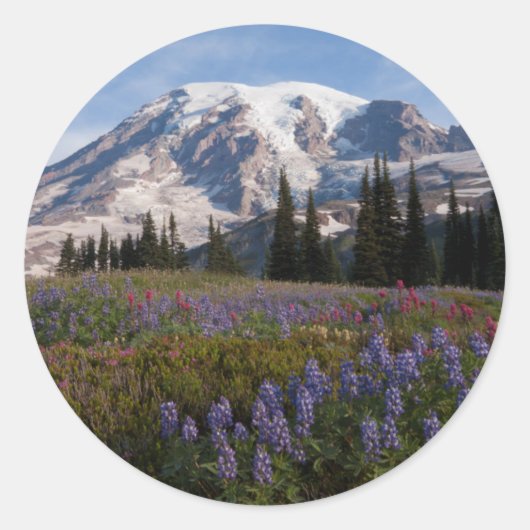 Mount Rainier National Park, Mount Rainier 3 Ronde Sticker (Voorkant)