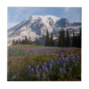 Mount Rainier National Park, Mount Rainier 3 Tegeltje
