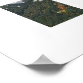 Mount Rainier National Park Schitterend Kloof Poster (Hoek)