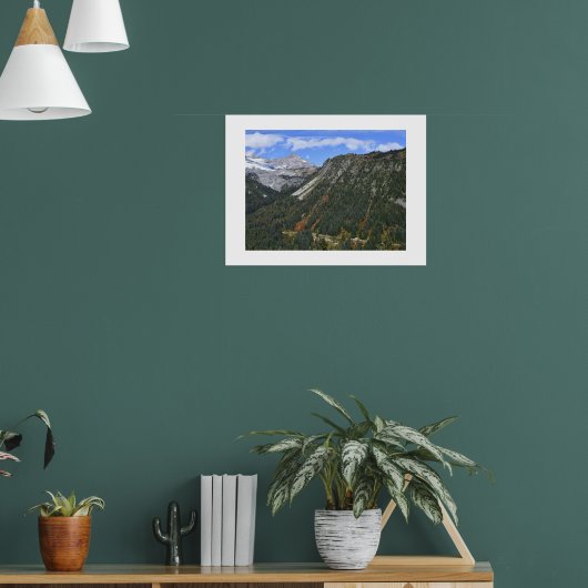 Mount Rainier National Park Schitterend Kloof Poster (Woonkamer 1)