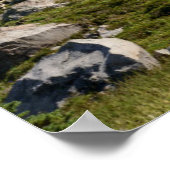 Mount Rainier National Park, WA. Spray Park Poster (Hoek)