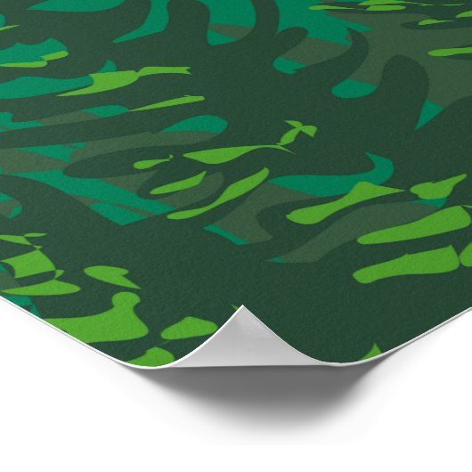 Mount Rainier National Park Washington  Poster (Hoek)