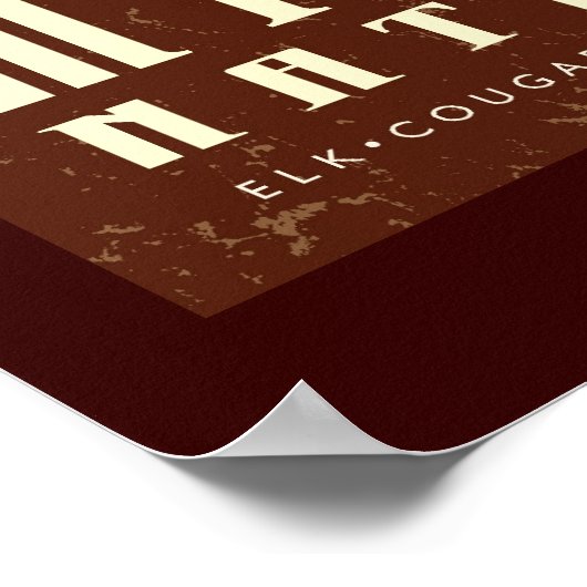 Mount Rainier Nat'l Park Poster (Hoek)