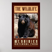 Mount Rainier Nat'l Park Poster (Voorkant)