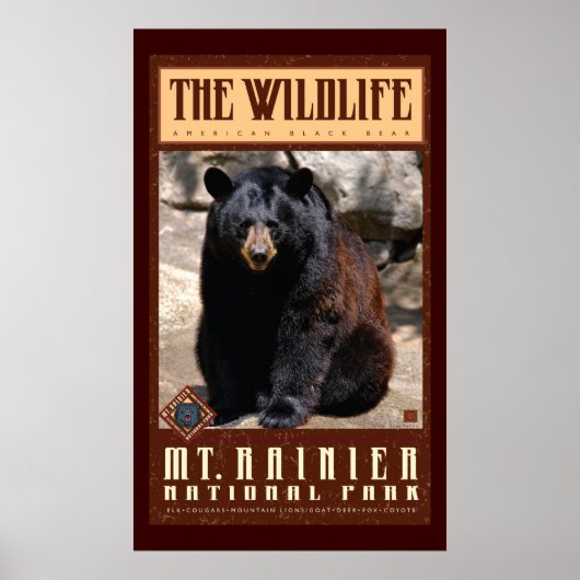 Mount Rainier Nat'l Park Poster (Voorkant)