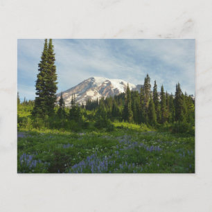 Mount Rainier Ochtendlicht Briefkaart